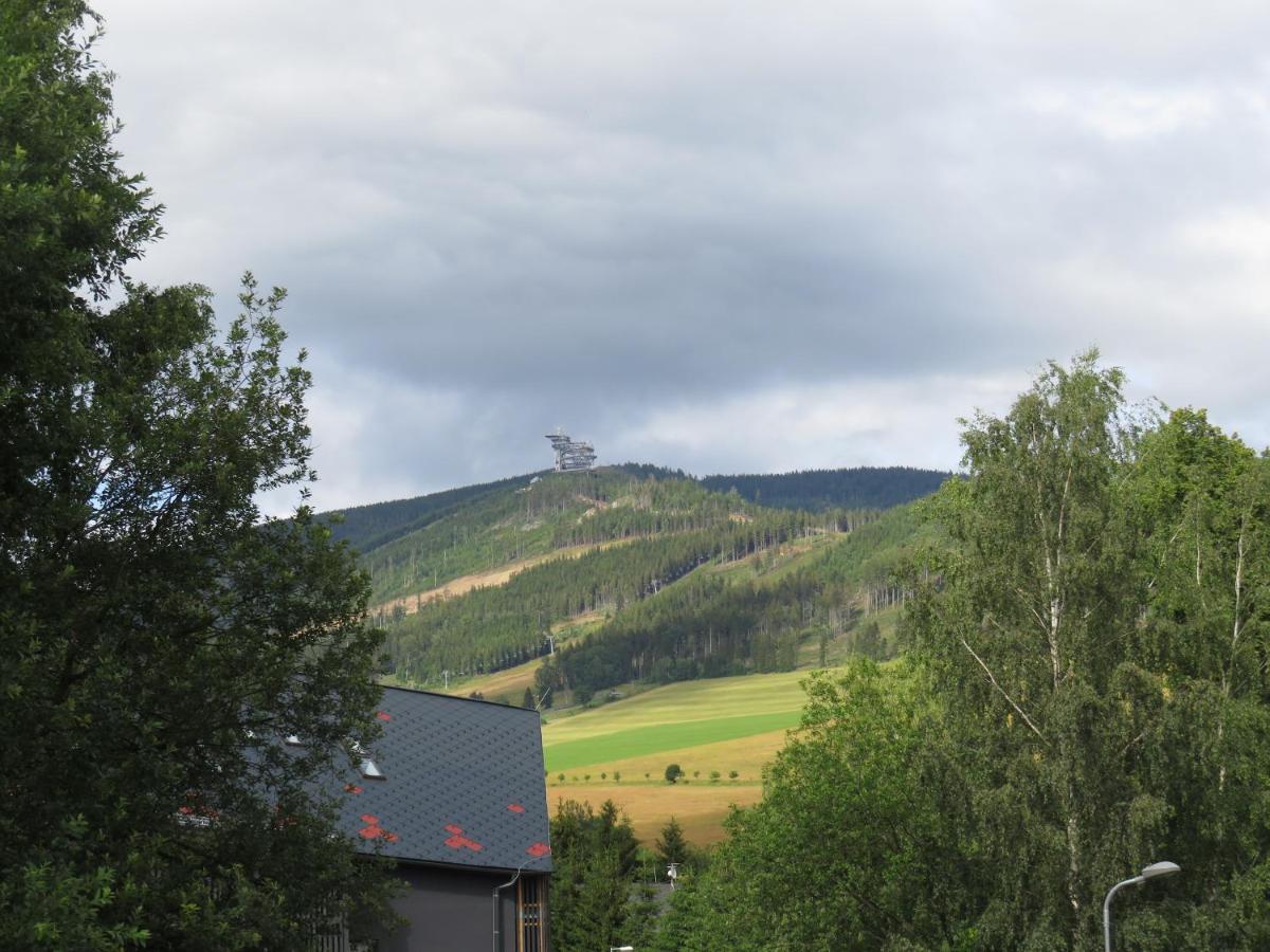 Apartman Honey Dolni Morava Exterior photo