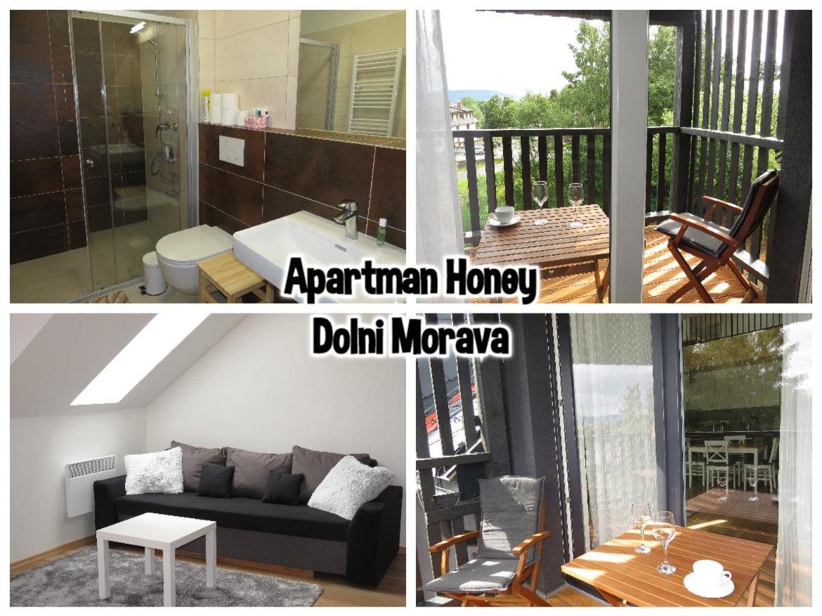 Apartman Honey Dolni Morava Exterior photo