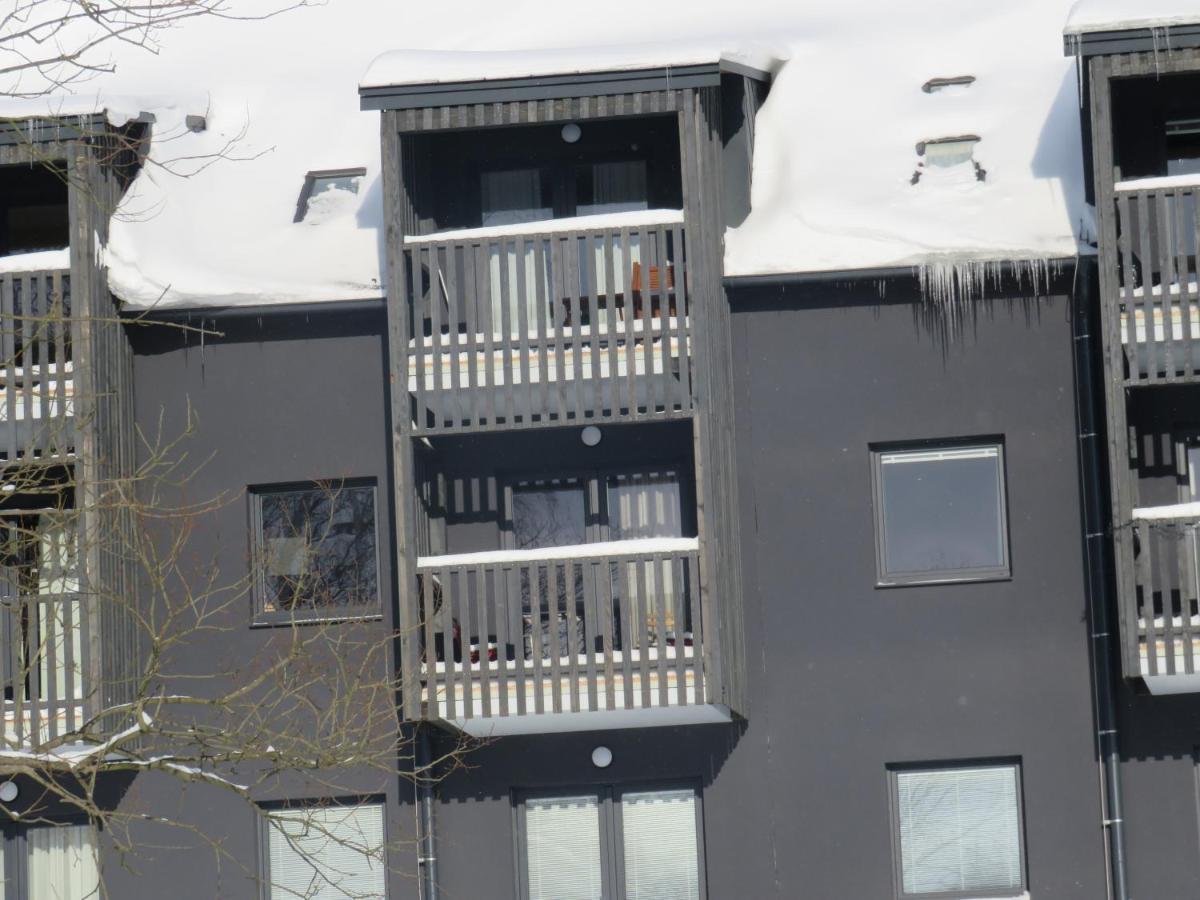 Apartman Honey Dolni Morava Exterior photo