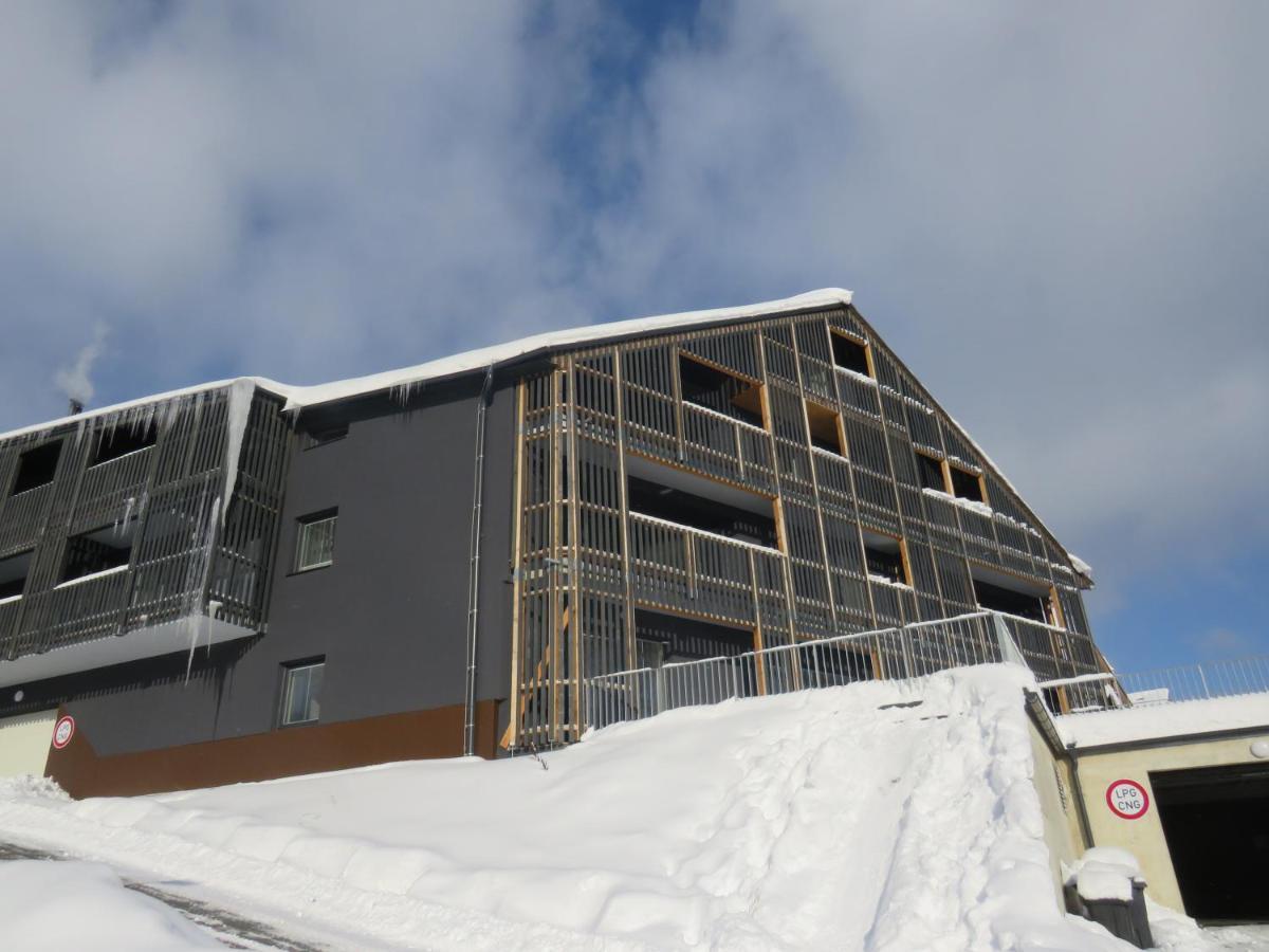 Apartman Honey Dolni Morava Exterior photo